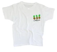 SIGNS AND SYMBOLS | WELCOME PINEAPPLES | ADULT TEE